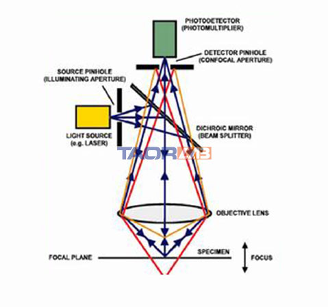 Microscopic spectrometer